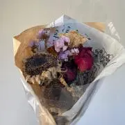 ms.の画像