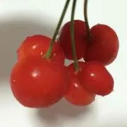 おぎゃ