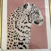 なめこの画像