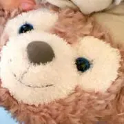 ひの画像
