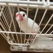 リサイクル 2号の画像
