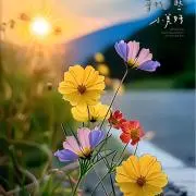 プロフィール必見の画像