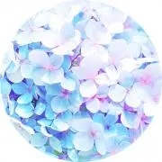 えむ