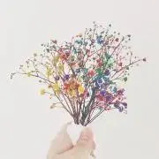 LARYの画像