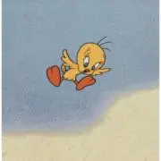 Puaの画像