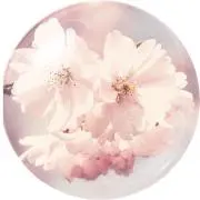 美月の画像