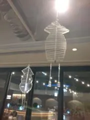 まーの画像