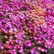 ちびまる♡土日祝休