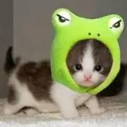 永遠