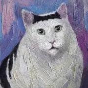 はるの画像