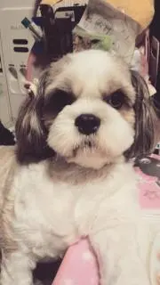 かいり