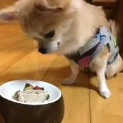 ゆい