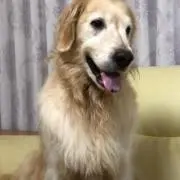 luckの画像