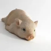 近藤