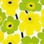 もーちゃん