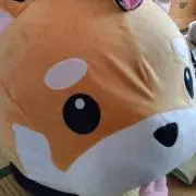 フミトの画像