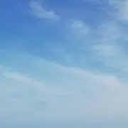 しろくま