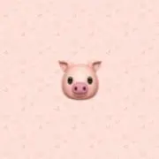 きゃわ