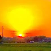 こころのゆたかの画像