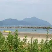 shukaの画像