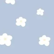 断捨離の画像