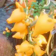 ナナイロの画像