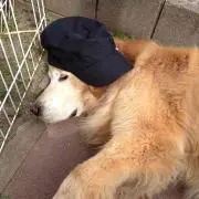 yuyuの画像