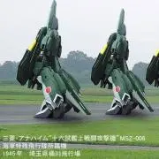 ヤマタカ