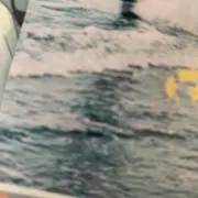 Rinaの画像