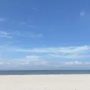ダイア
