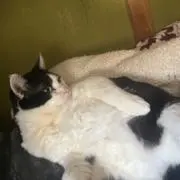 えま