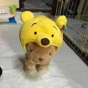 夏の月