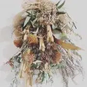 しのの画像