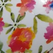 apple_lの画像