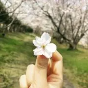 YUKI◎の画像