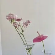 rida：の画像