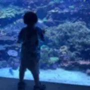 JJの画像