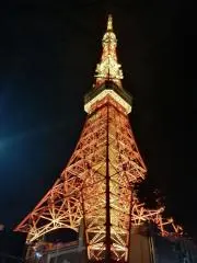 こはるの画像