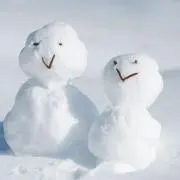 ゆきんこの画像