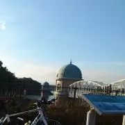 ノザキングの画像