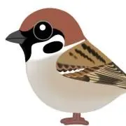 チュン吉の画像