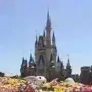 同梱値引き可　プロフ確認くださいの画像