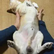 Hiroki