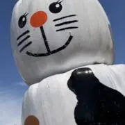 Kk