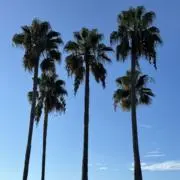 Kenの画像