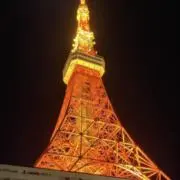 コキンちゃん( ✌︎'ω')✌︎⭐︎の画像