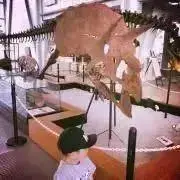 あるぷす