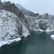 林