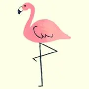 YUAの画像