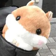 ユキ⭐︎プロフィールの確認をして下さいの画像